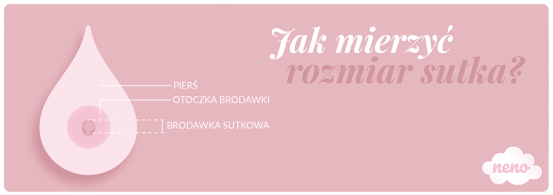 jak dobrać rozmiar lejka laktatora neno